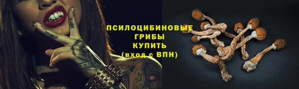 ГАЛЛЮЦИНОГЕННЫЕ ГРИБЫ Володарск