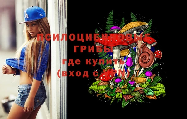 apvp Вязники
