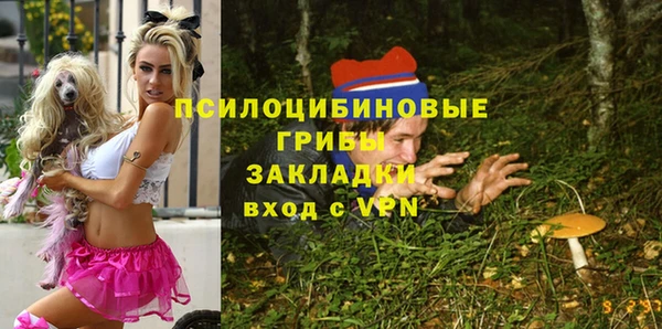 apvp Вязники